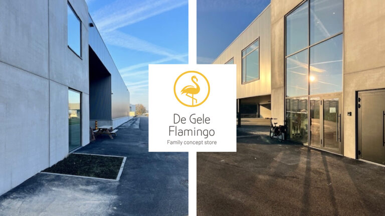 gele flamingo